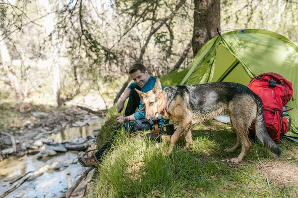 Camping bord de l'eau : des vacances à la déconnexion totale !