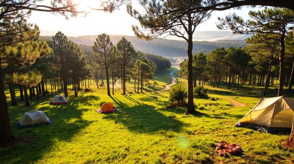 Top campings dans les landes pour des vacances ressourçantes